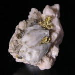 Gold, Baie Verte, Fine mineral specimen, Newfoundland Canada - 006
