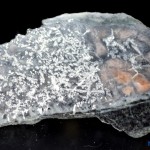 Silver dendritic specimen, Langis mine, Cobalt, Ontario - 005