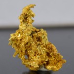 Gold fine mineral specimen new locality -012