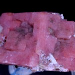 Rhodochrosite fine mineral specimen Mont Saint Hilaire -001