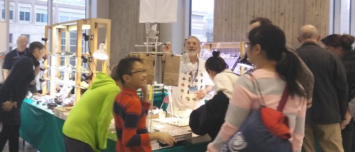 Montreal Gem and mineral show 2018 1